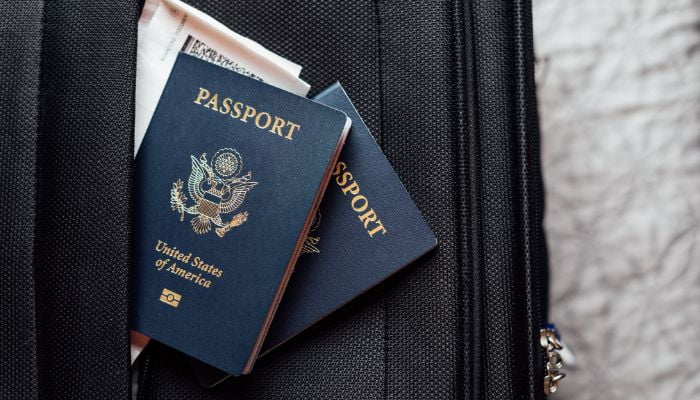 Documentos para Viagens Internacionais Guia Completo e Prático.