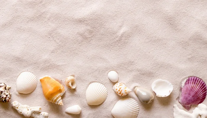 Roteiro de Praias Desertas Explore o Tranquilo Litoral brasileiro