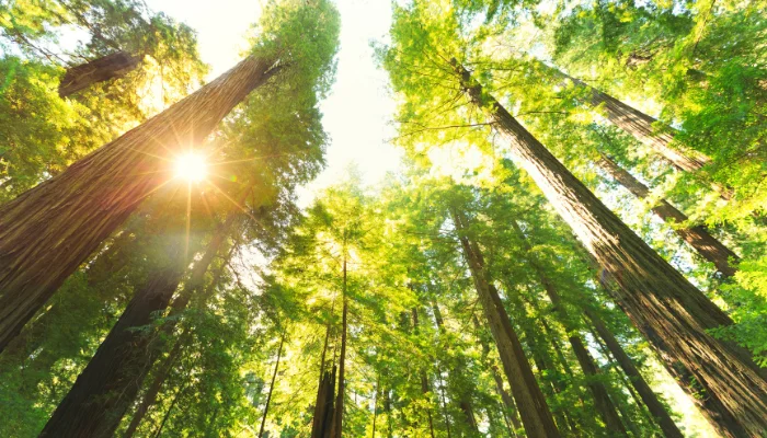 Viagem pelos Parques Nacionais do Brasil Mais da Biodiversidade