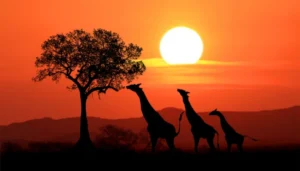 Descubra a Beleza Africana: Roteiro de Viagem pela África
